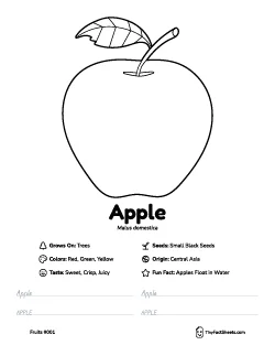 Apple fruit worksheet with coloring page, facts, and handwriting practice thumb