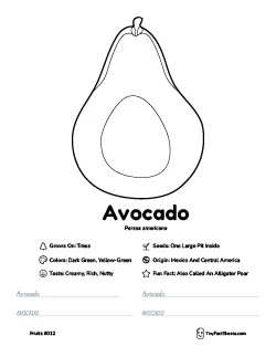 Avocado fruit worksheet with coloring page, facts, and handwriting practice thumb