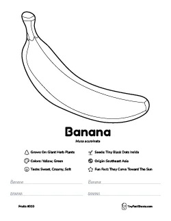 Banana fruit worksheet with coloring page, facts, and handwriting practice thumb