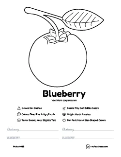 Blueberry fruit worksheet with coloring page, facts, and handwriting practice thumb
