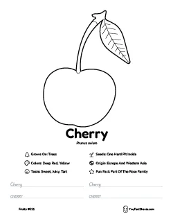 Cherry fruit worksheet with coloring page, facts, and handwriting practice thumb