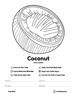Coconut fruit worksheet with coloring page, facts, and handwriting practice thumb