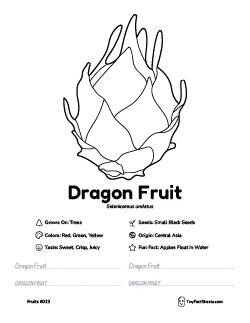 dragon fruit worksheet with coloring page, facts, and handwriting practice thumb