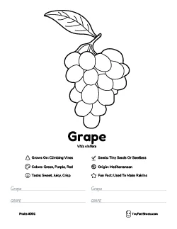 Grape fruit worksheet with coloring page, facts, and handwriting practice thumb