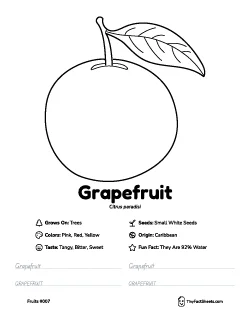 Grapefruit fruit worksheet with coloring page, facts, and handwriting practice thumb