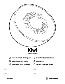 Kiwi fruit worksheet with coloring page, facts, and handwriting practice thumb