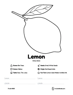 Lemon fruit worksheet with coloring page, facts, and handwriting practice thumb