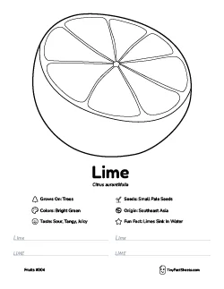 Lime fruit worksheet with coloring page, facts, and handwriting practice
