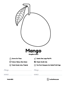 Mango fruit worksheet with coloring page, facts, and handwriting practice thumb