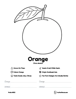Orange fruit worksheet with coloring page, facts, and handwriting practice