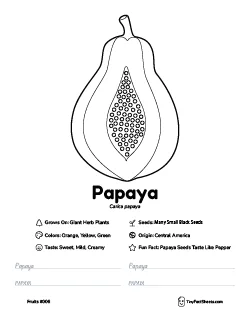 Papaya fruit worksheet with coloring page, facts, and handwriting practice thumb