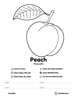 Peach fruit worksheet with coloring page, facts, and handwriting practice