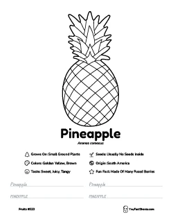 Pineapple fruit worksheet with coloring page, facts, and handwriting practice thumb