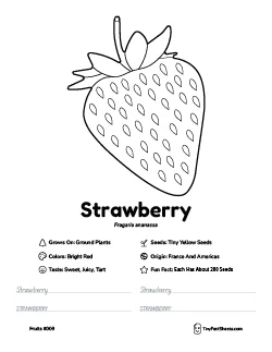 Strawberry fruit worksheet with coloring page, facts, and handwriting practice thumb