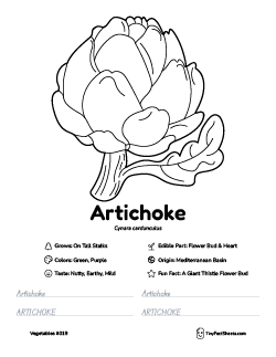 artichoke vegetable worksheet with coloring page, facts, and tracing practice