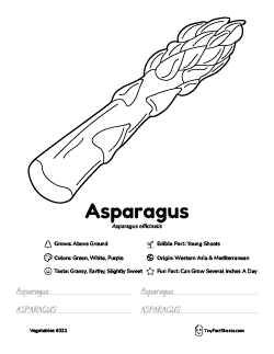 asparagus vegetable worksheet with coloring page, facts, and tracing practice