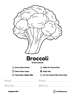 broccoli vegetable worksheet with coloring page, facts, and tracing practice