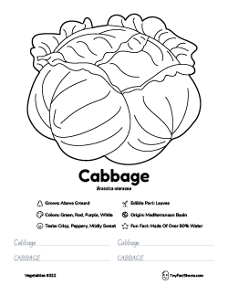 cabbage vegetable worksheet with coloring page, facts, and tracing practice