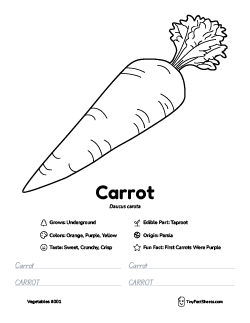 carrot vegetable worksheet with coloring page, facts, and tracing practice