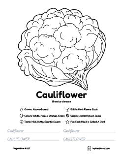 cauliflower vegetable worksheet with coloring page, facts, and tracing practice