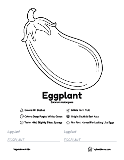 eggplant vegetable worksheet with coloring page, facts, and tracing practice