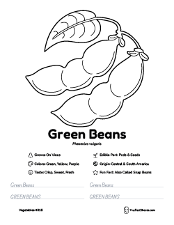 green vegetable worksheet with coloring page, facts, and tracing practice