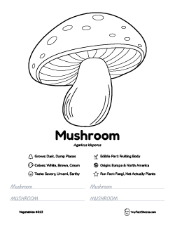 mushroom vegetable worksheet with coloring page, facts, and tracing practice