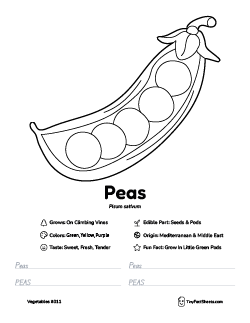 peas vegetable worksheet with coloring page, facts, and tracing practice