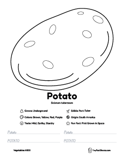 potato vegetable worksheet with coloring page, facts, and tracing practice