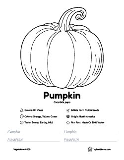 pumpkin vegetable worksheet with coloring page, facts, and tracing practice