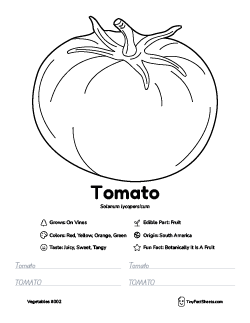 tomato vegetable worksheet with coloring page, facts, and tracing practice