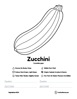 zucchini vegetable worksheet with coloring page, facts, and tracing practice