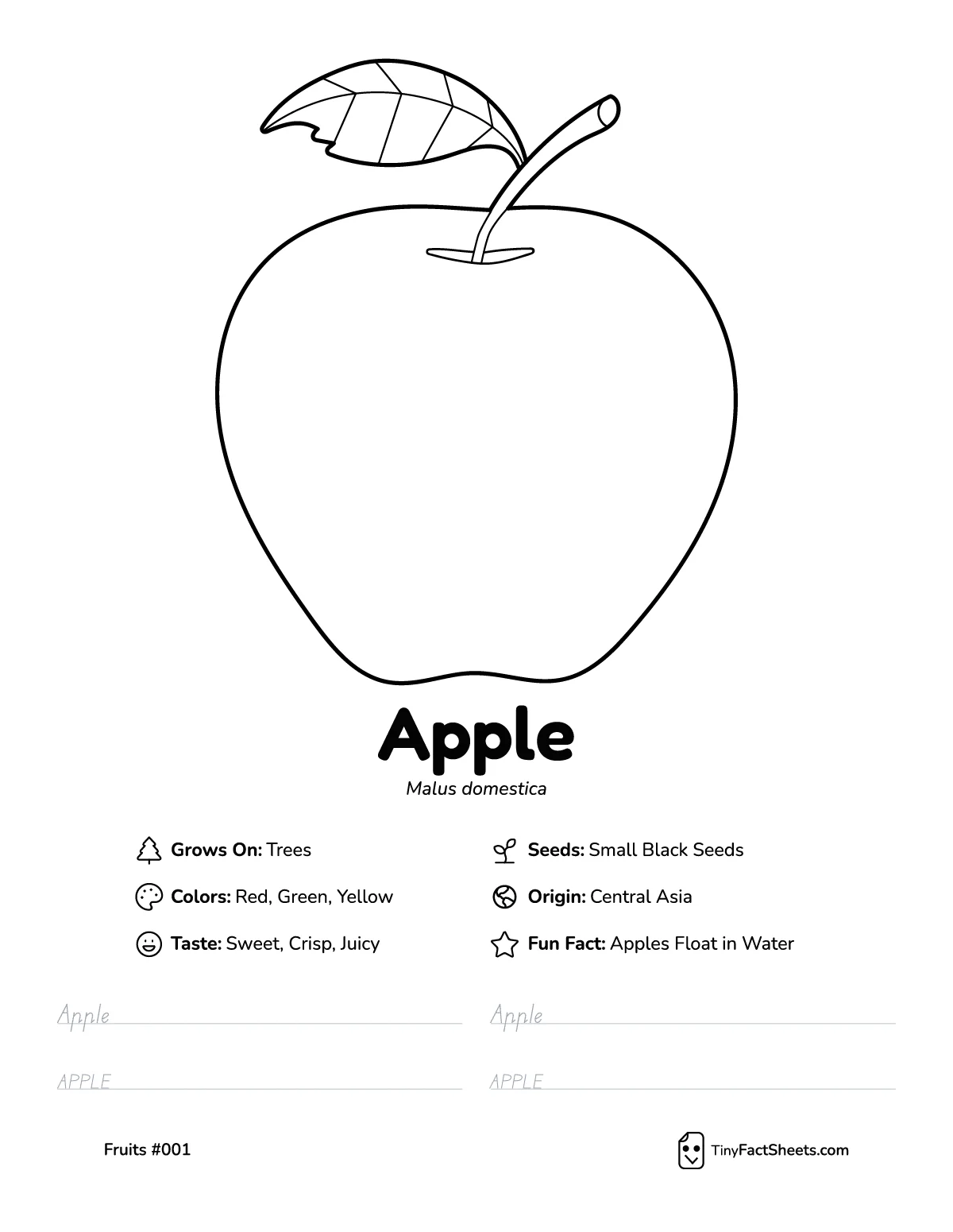 Apple fruit worksheet with coloring page, facts, and handwriting practice