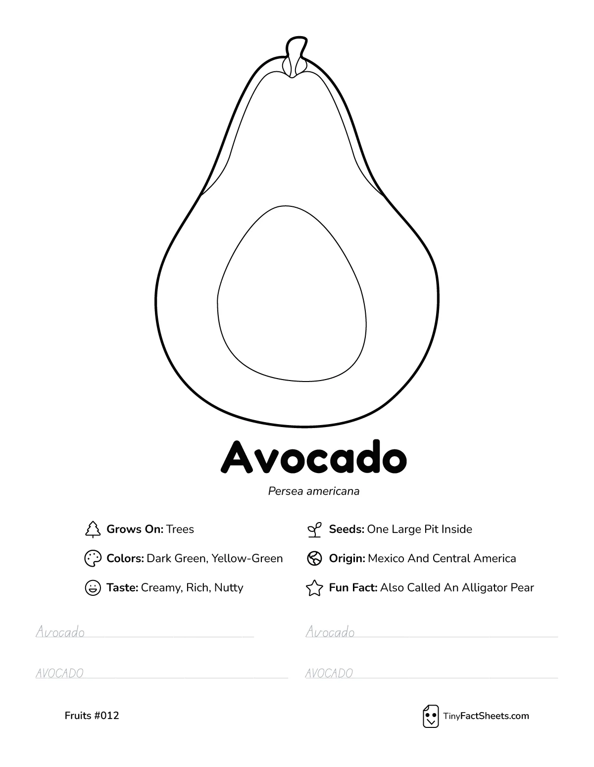 Avocado fruit worksheet with coloring page, facts, and handwriting practice