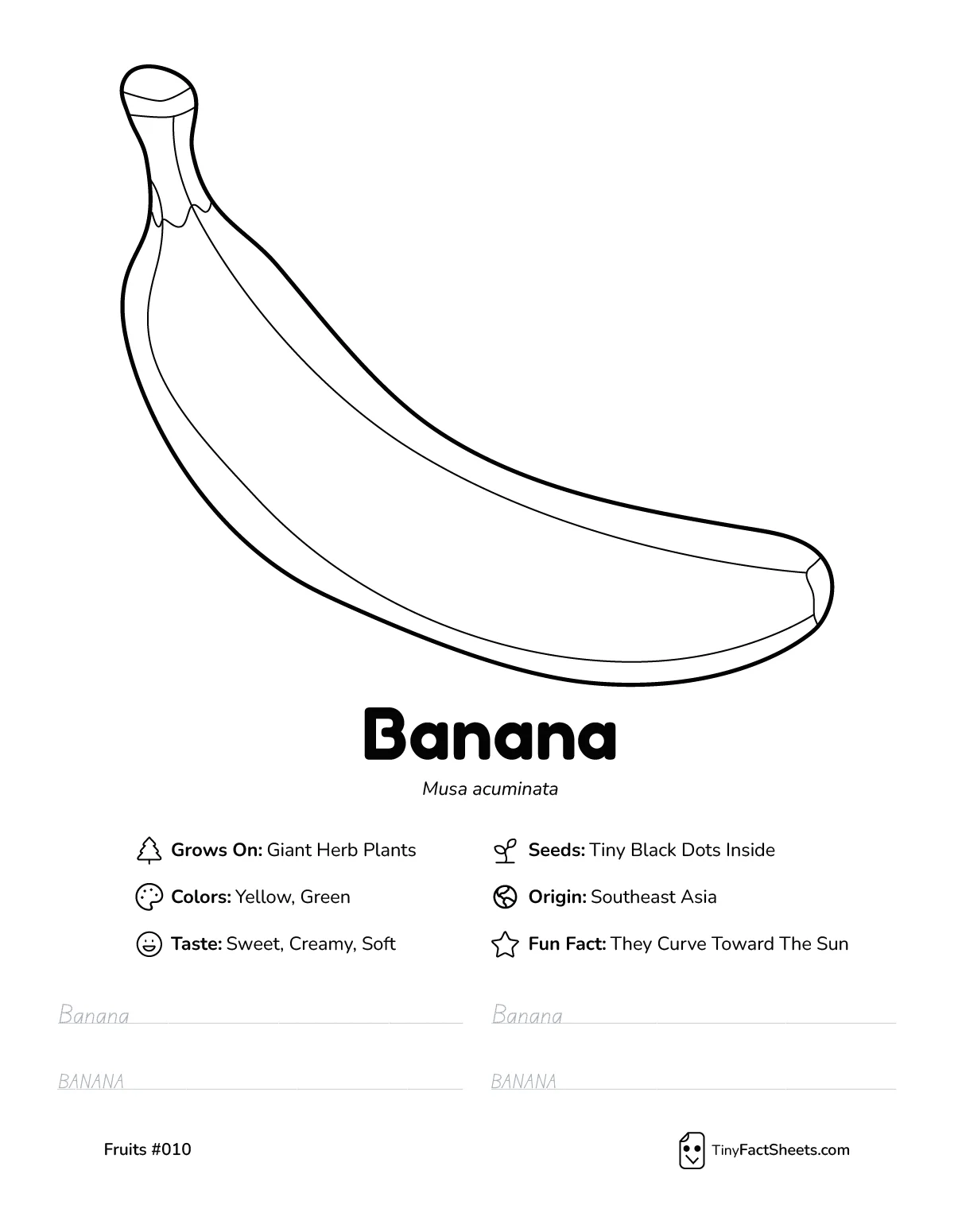 Banana fruit worksheet with coloring page, facts, and handwriting practice