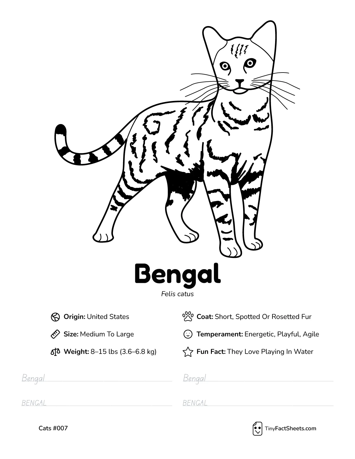 bengal cat breed worksheet with coloring page, facts, and handwriting practice for kids