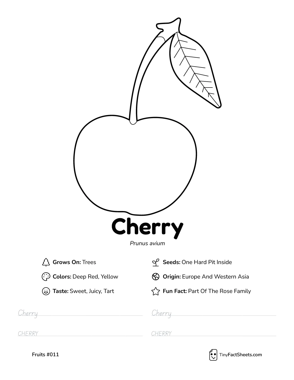 Cherry fruit worksheet with coloring page, facts, and handwriting practice