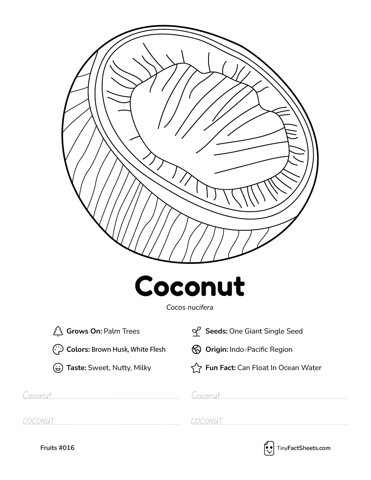Coconut fruit worksheet with coloring page, facts, and handwriting practice