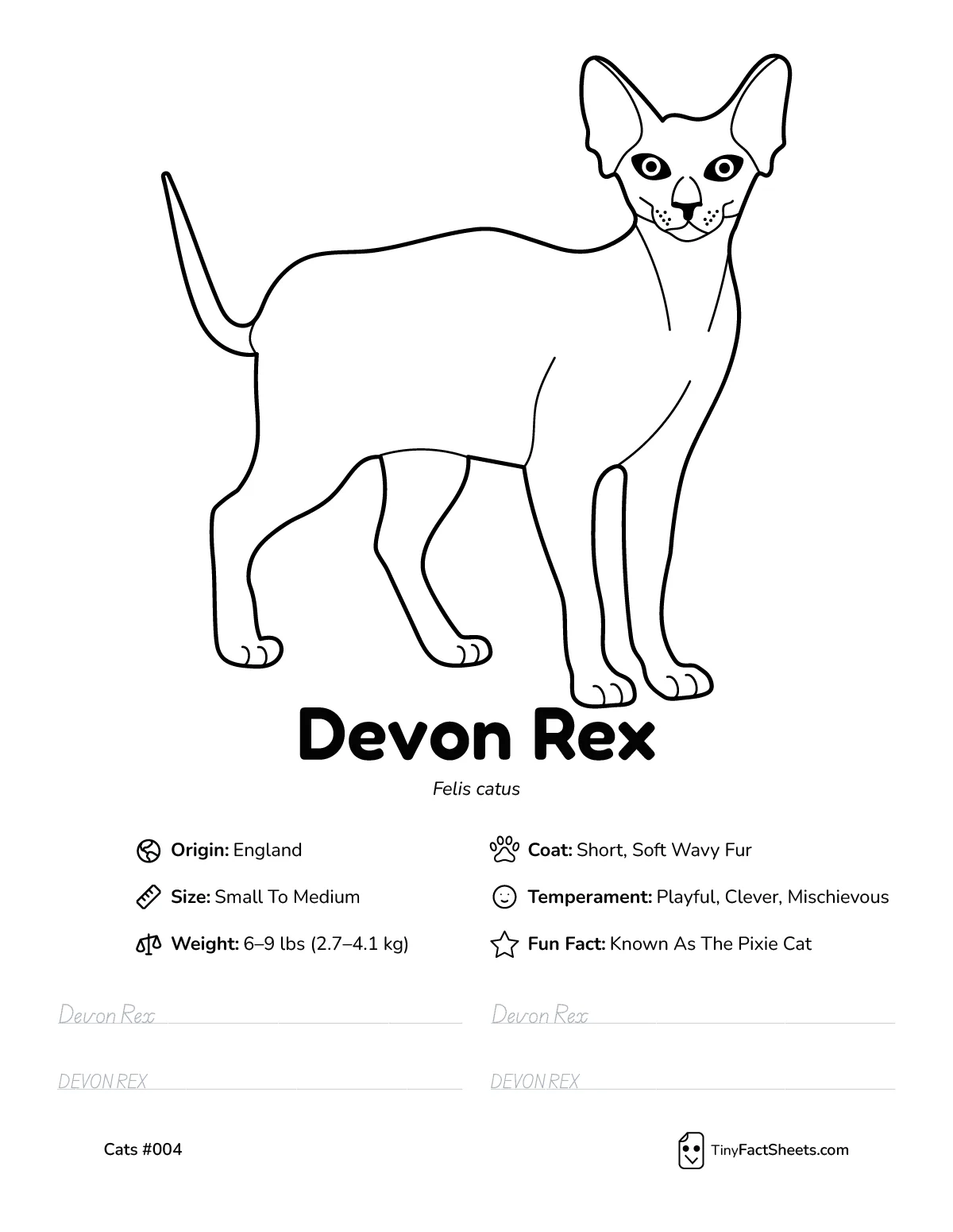 devon rex cat breed worksheet with coloring page, facts, and handwriting practice for kids
