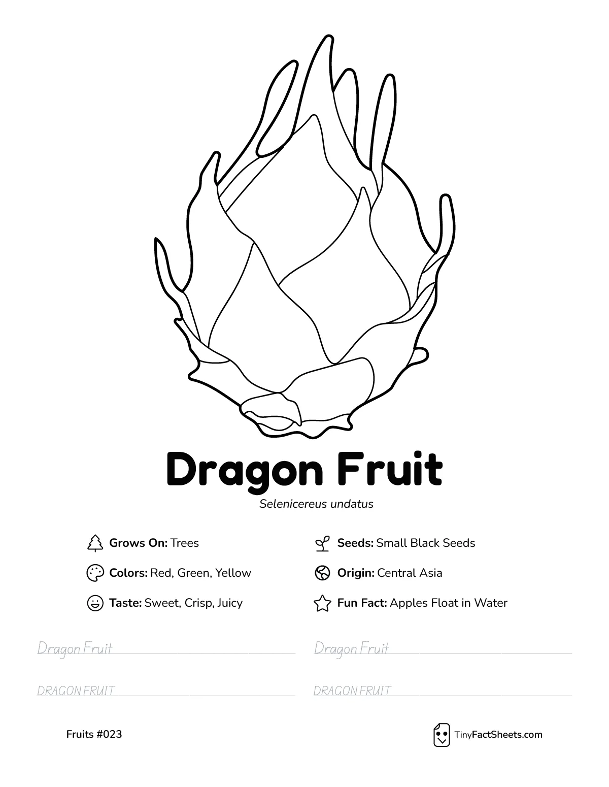 Dragon fruit worksheet with coloring page, facts, and handwriting practice