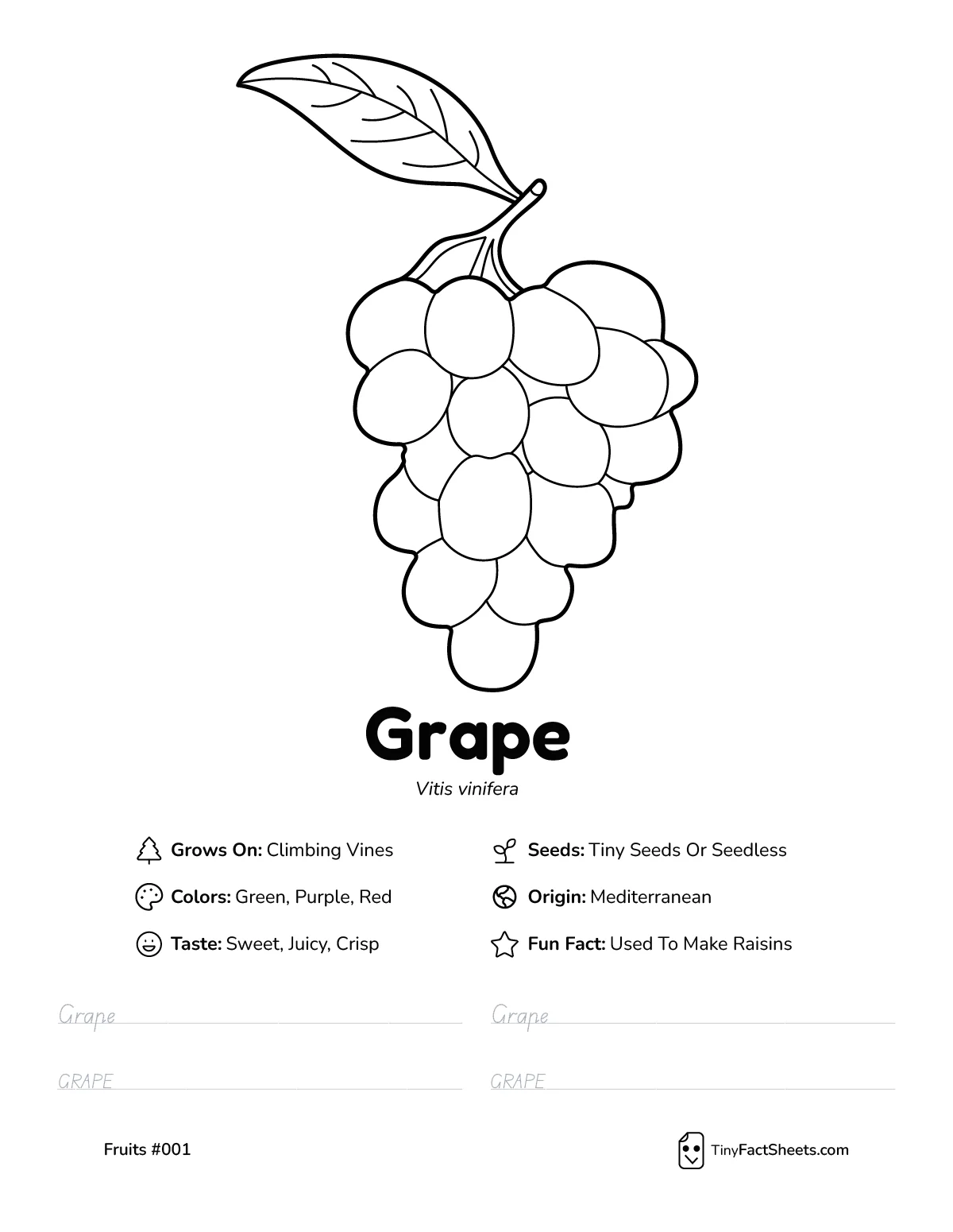 grape fruit worksheet with coloring page, facts, and handwriting practice