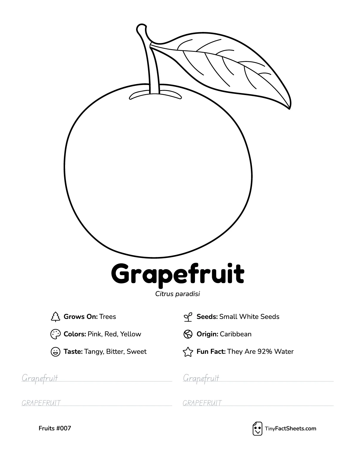 Grapefruit fruit worksheet with coloring page, facts, and handwriting practice