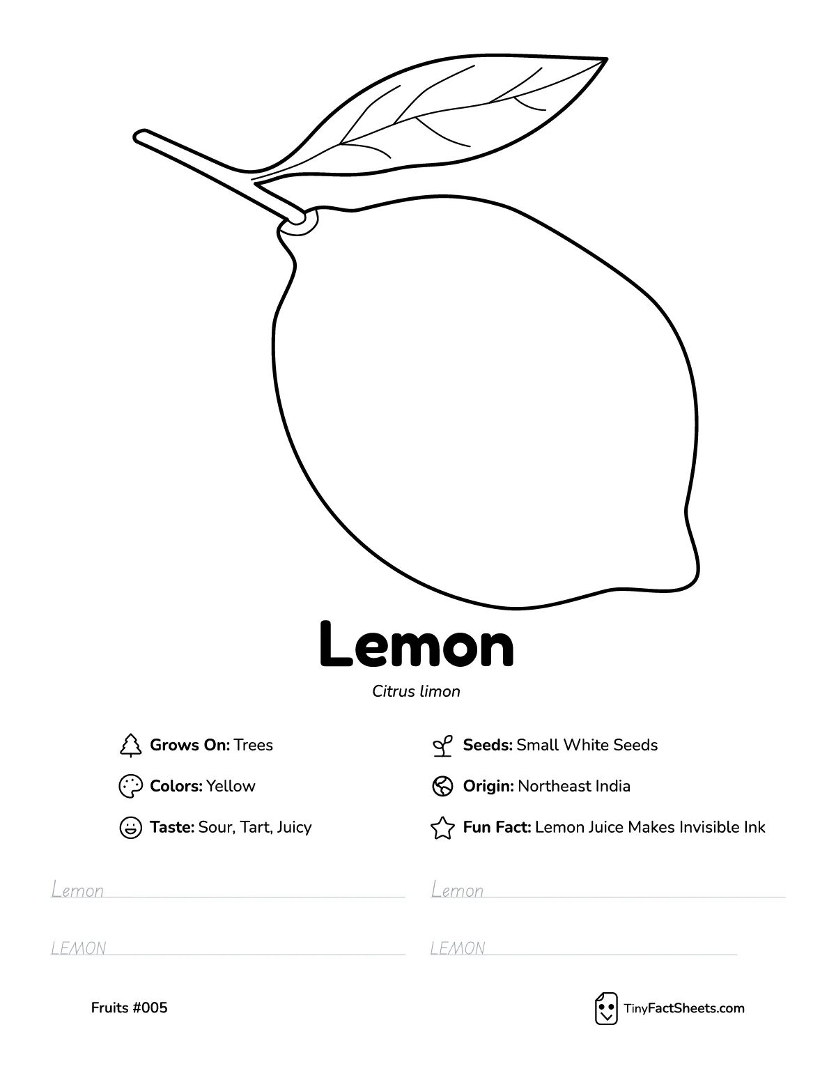 Lemon fruit worksheet with coloring page, facts, and handwriting practice