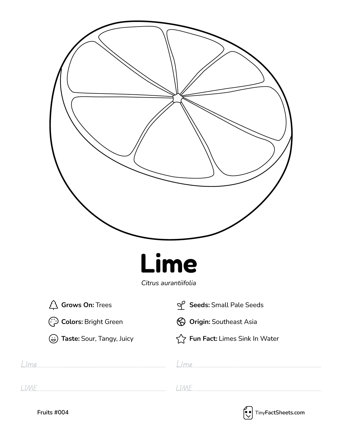 Lime fruit worksheet with coloring page, facts, and handwriting practice thumb