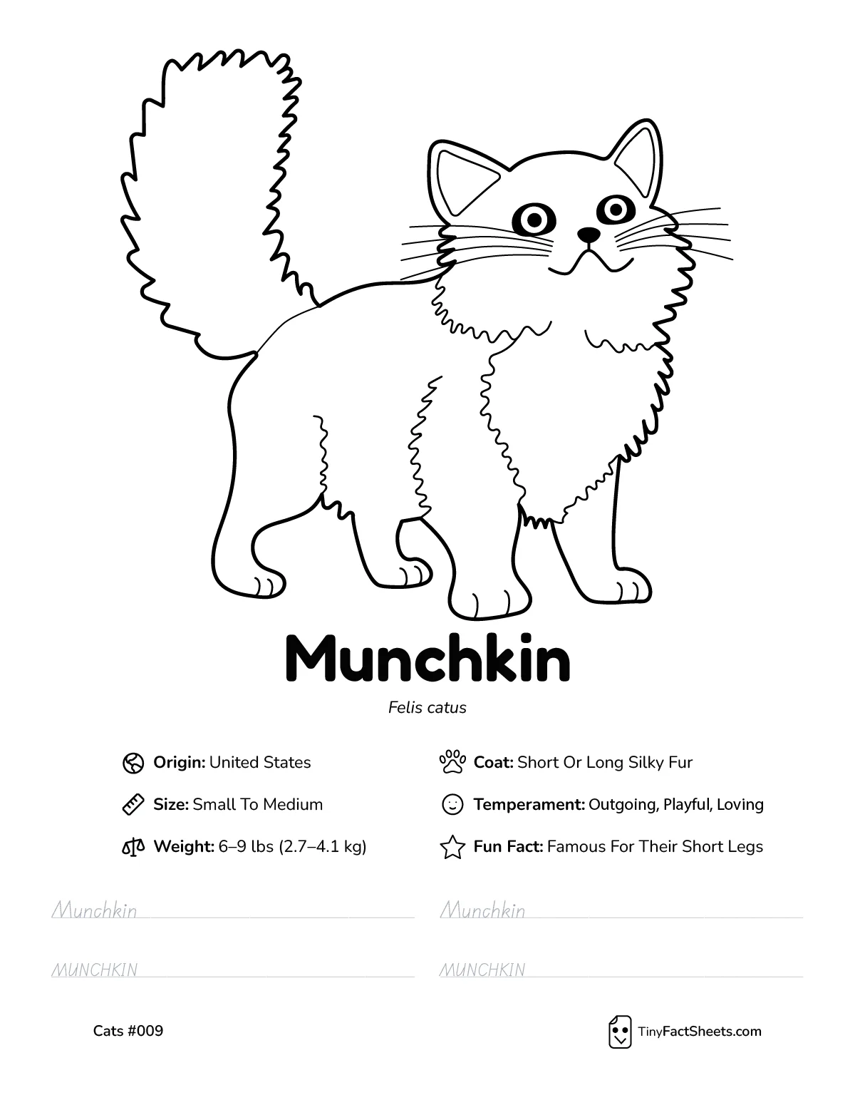 munchkin cat breed worksheet with coloring page, facts, and handwriting practice for kids