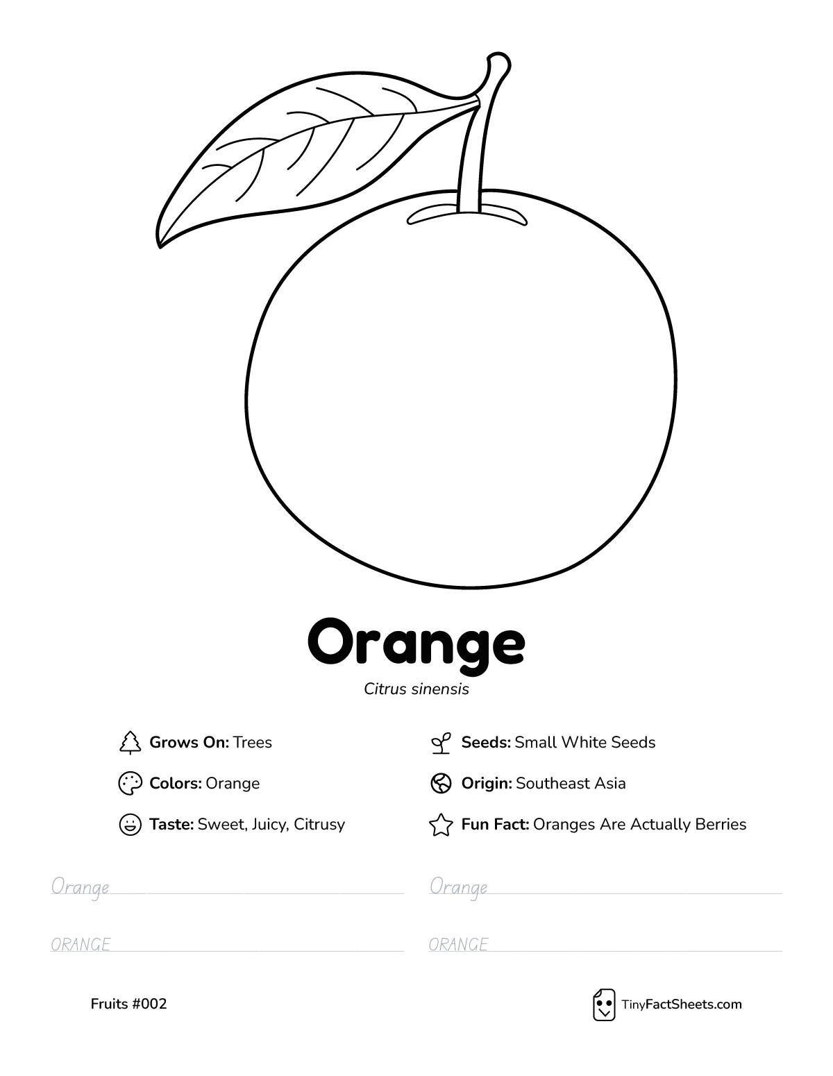 Orange fruit worksheet with coloring page, facts, and handwriting practice thumb