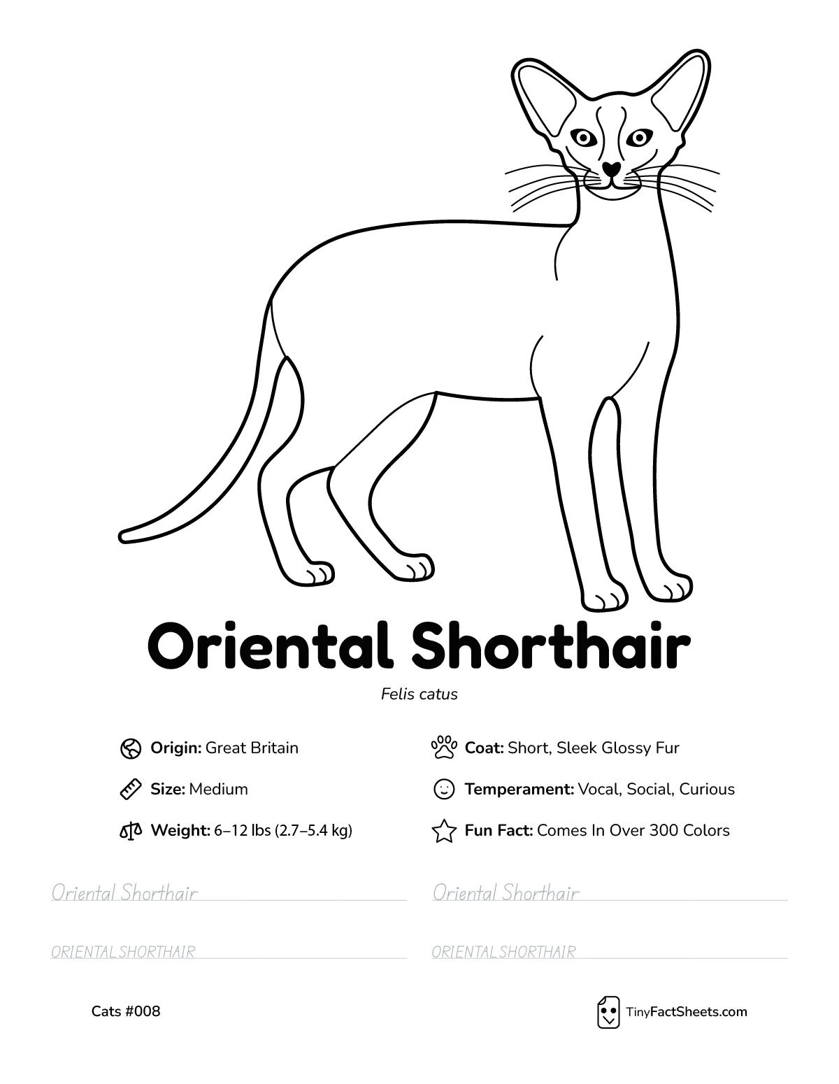 oriental shorthair cat breed worksheet with coloring page, facts, and handwriting practice for kids