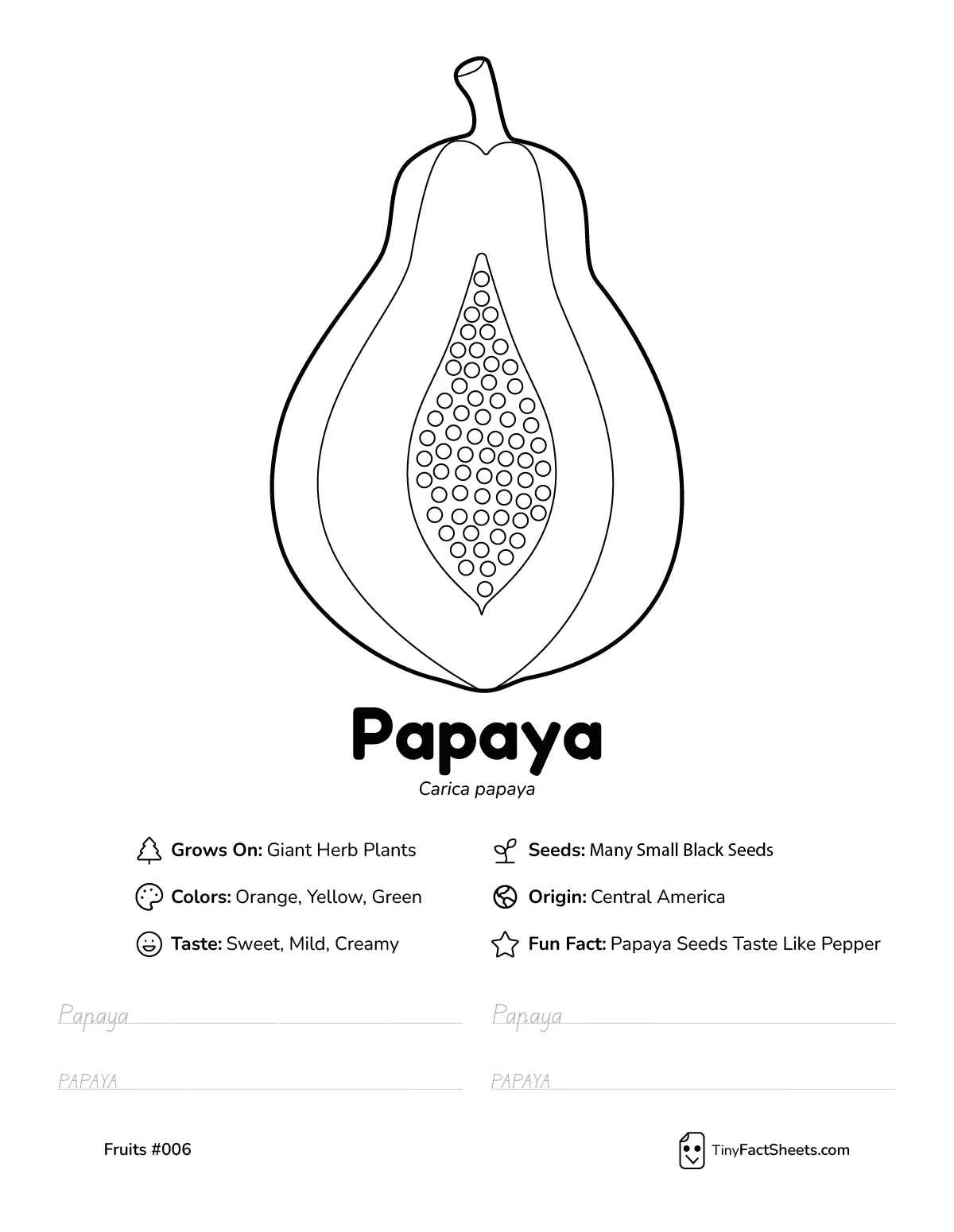 Papaya fruit worksheet with coloring page, facts, and handwriting practice