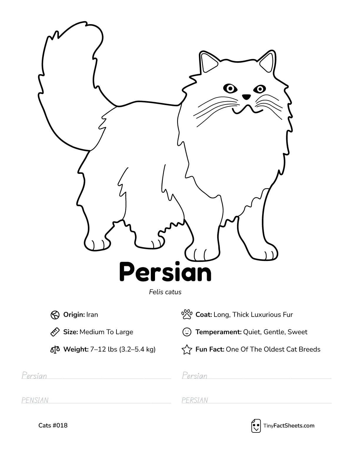 persian cat breed worksheet with coloring page, facts, and handwriting practice for kids