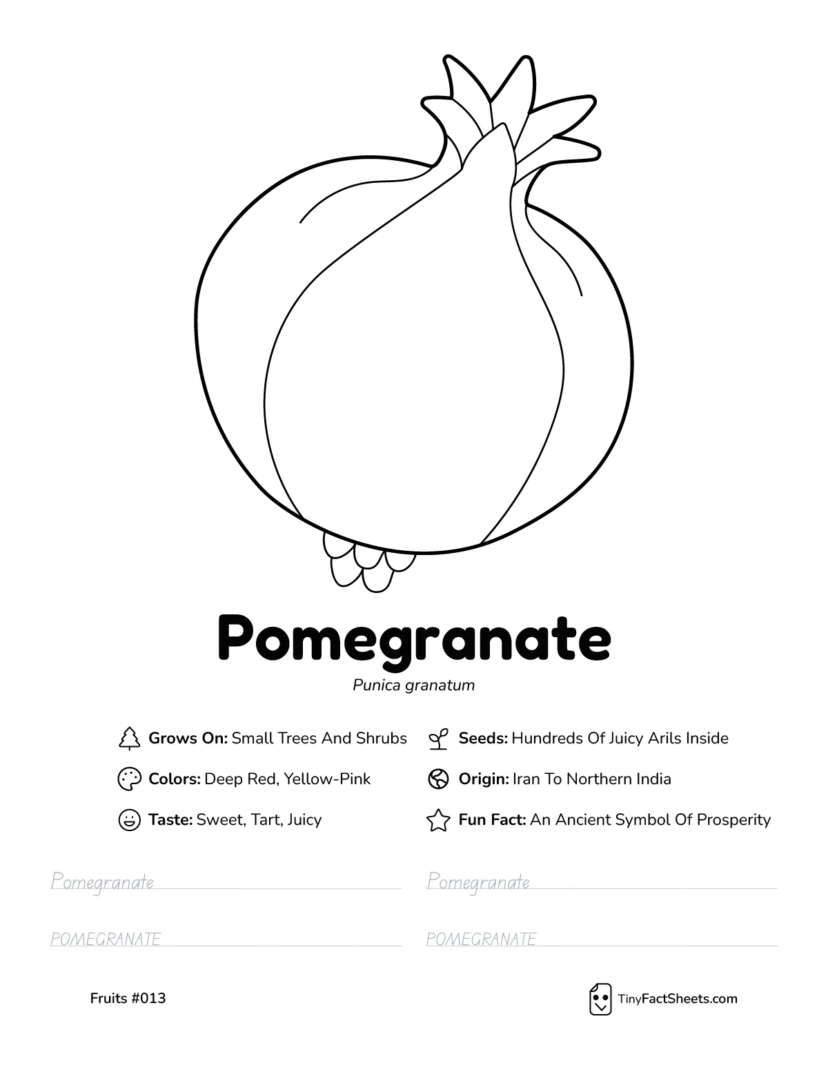 Pomegranate fruit worksheet with coloring page, facts, and handwriting practice